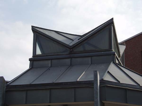 Pavillion, Meckenheim