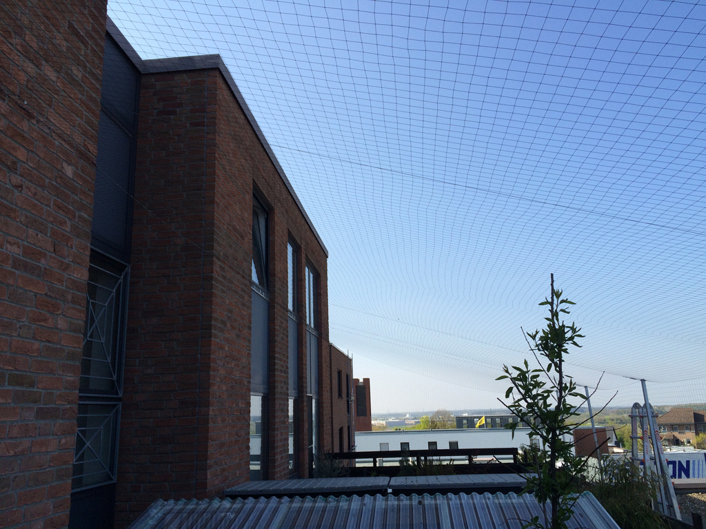 245_meckenheim_neuermarkt_terrasse