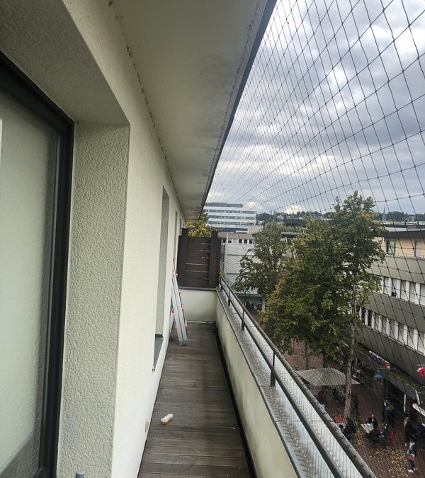 Theaterplatz, Bad Godesberg